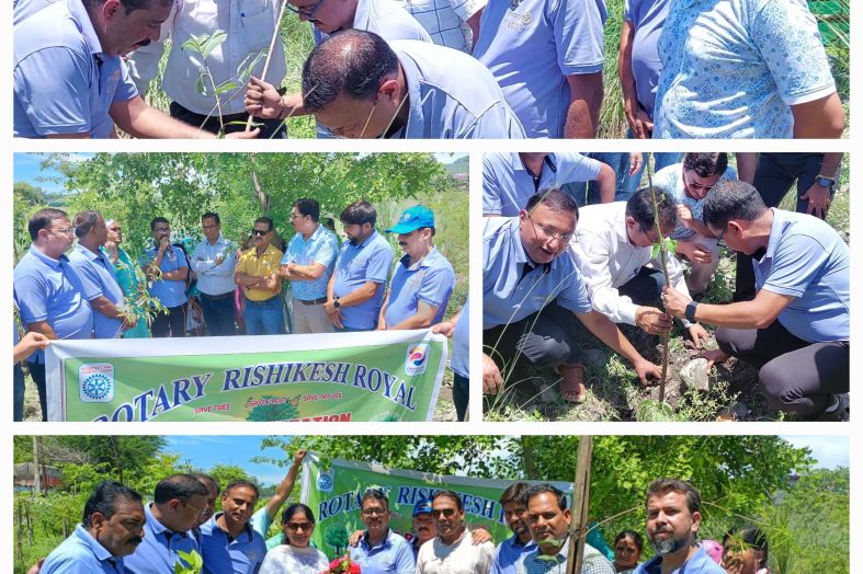 पेड़ लगाना आसान लेकिन पेड़ों को सुरक्षित और संरक्षित करना सबसे महत्वपूर्ण, अपर आयुक्त प्रशासन गढ़वाल।