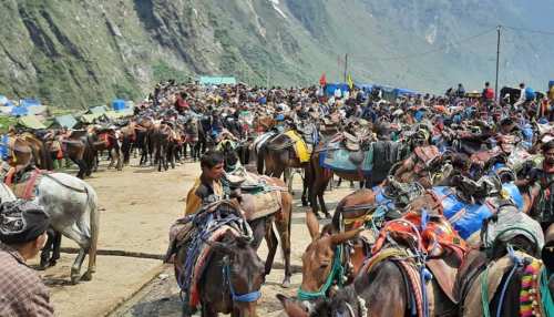चारधाम यात्रा में पशु क्रूरता करने वालों पर होगी से सख्त कार्यवाही- पशुपालन मंत्री