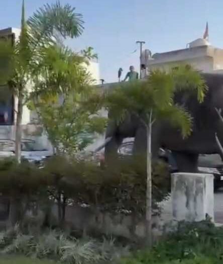 हरिद्वार के अस्पताल में घुसा जंगली हाथी मची अफरा-तफरी