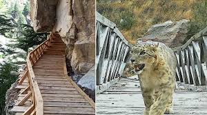 खुले गंगोत्री नेशनल पार्क के द्वार… इन ट्रेक पर ग्लेशियर आने से अभी आवाजाही की अनुमति नहीं मिली