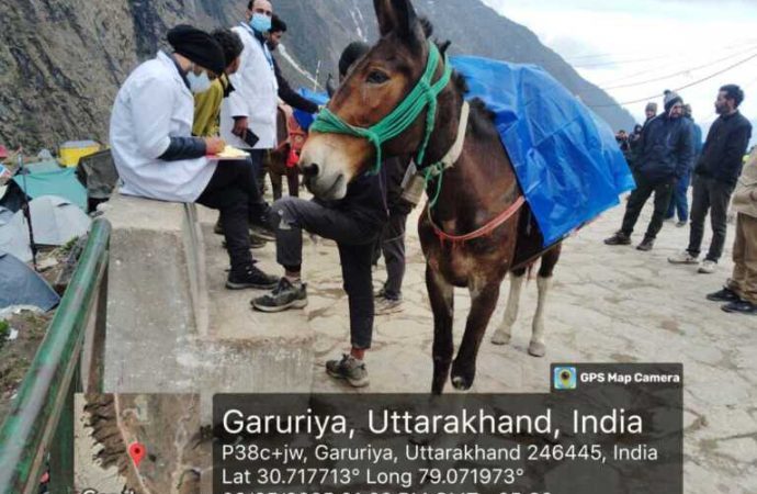 मंत्री बहुगुणा ने केदारनाथ यात्रा हेतु घोड़ा‑खच्चर स्वास्थ्य जांच के निर्देश दिए