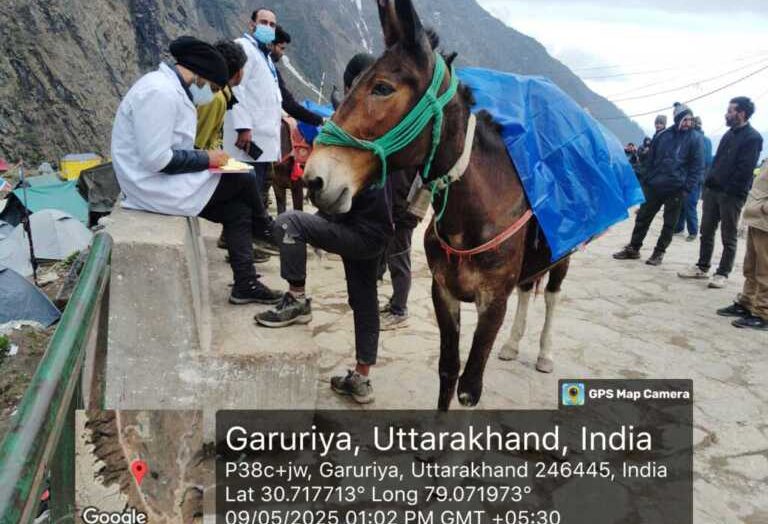 मंत्री बहुगुणा ने केदारनाथ यात्रा हेतु घोड़ा‑खच्चर स्वास्थ्य जांच के निर्देश दिए