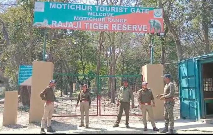 राजाजी नेशनल पार्क में बढ़ा बाघों का कुनबा, ट्रैकुलाइज कर एक और नर बाघ लाया गया बाड़े में