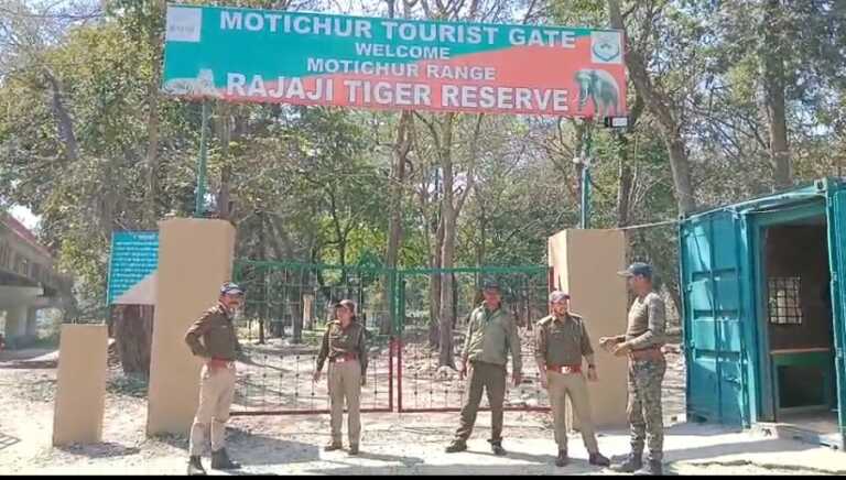 राजाजी नेशनल पार्क में बढ़ा बाघों का कुनबा, ट्रैकुलाइज कर एक और नर बाघ लाया गया बाड़े में