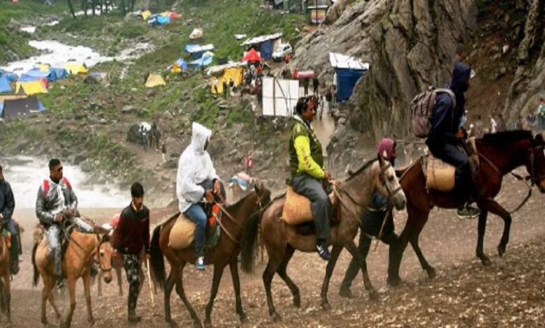 केदारनाथ में 24 घंटे के लिए घोड़े-खच्चरों पर रोक, 14 घोड़े-खच्चरों की मौत