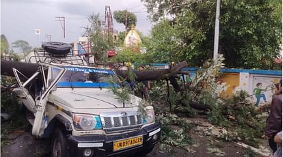देहरादून चकराता रोड पर हादसा…चलती गाड़ी पर गिरा बड़ा पेड़, एक सवारी की मौत, कई घायल