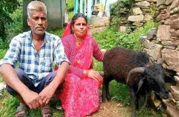 चमोली: कोटी गांव में जन्मा चार सींग वाला खाडू, नंदा राजजात यात्रा से जुड़ी परंपरा में उत्साह