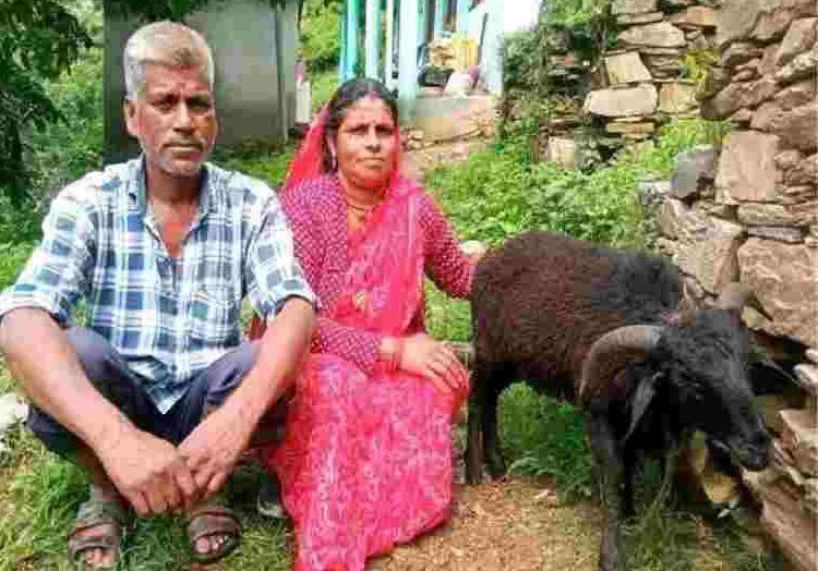 चमोली: कोटी गांव में जन्मा चार सींग वाला खाडू, नंदा राजजात यात्रा से जुड़ी परंपरा में उत्साह