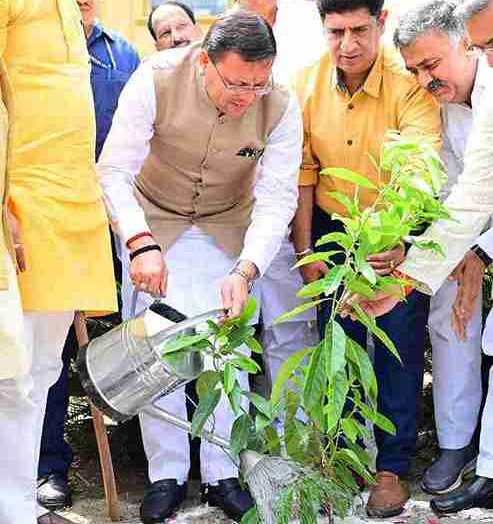 मुख्यमंत्री ने एक पेड़ मॉं के नाम अभियान के तहत किया पौधारोपण।