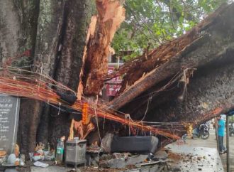 टपकेश्वर महादेव मंदिर: मुख्य गेट के पास पीपल का बड़ा हिस्सा अचानक गिरा