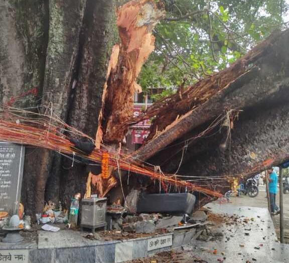 टपकेश्वर महादेव मंदिर: मुख्य गेट के पास पीपल का बड़ा हिस्सा अचानक गिरा