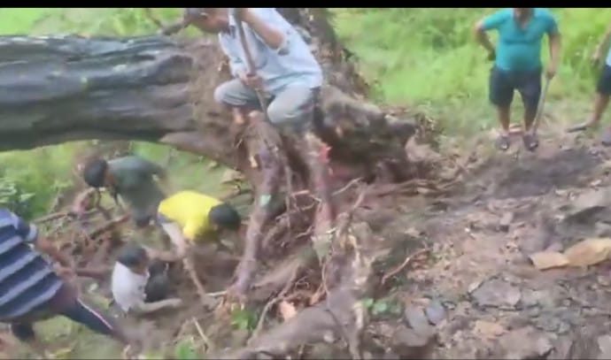 टिहरी: स्कूल से लौट रहे दो बच्चों पर गिरा पेड़, मौके पर दर्दनाक मौत