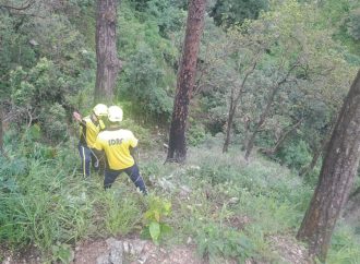 उत्तराखंड में तीन सड़क हादसे, दो चालकों समेत तीन की मौत, एक गंभीर घायल