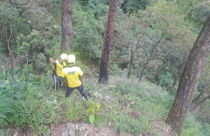 उत्तराखंड में तीन सड़क हादसे, दो चालकों समेत तीन की मौत, एक गंभीर घायल