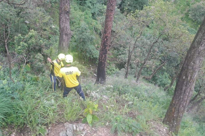 उत्तराखंड में तीन सड़क हादसे, दो चालकों समेत तीन की मौत, एक गंभीर घायल