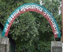 वन विभाग में भ्रष्टाचार पर उठे सवाल, तंत्र पर आरोपियों को बचाने का आरोप