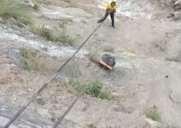 तोता घाटी में भीषण हादसा, डोईवाला के तीन युवकों की खाई में गिरकर मौत