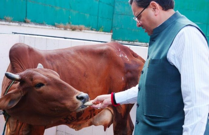 मुख्यमंत्री धामी ने गोवर्धन पूजा पर किया गौ माता का पूजन और सेवा