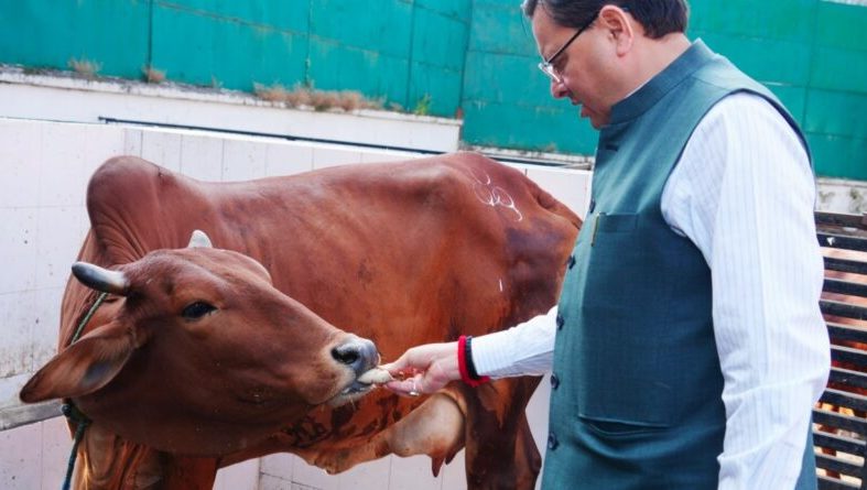 मुख्यमंत्री धामी ने गोवर्धन पूजा पर किया गौ माता का पूजन और सेवा