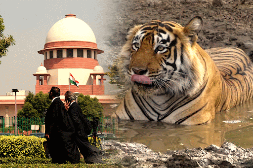 कॉर्बेट में अवैध निर्माण पर सुप्रीम कोर्ट सख्त, 3 माह में ढाँचे हटाने के आदेश