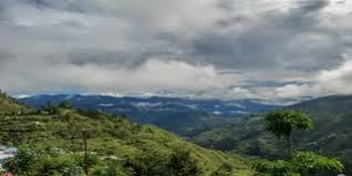 फॉरेस्ट विभाग में बड़ा फेरबदल, टेरिटोरियल-नॉन टेरिटोरियल सिस्टम खत्म कर 10 डिवीजन घटाने की तैयारी