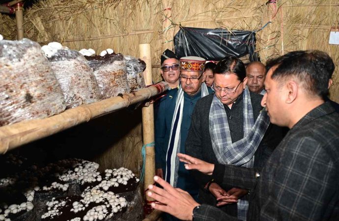 सीएम धामी ने हरिद्वार के बुग्गावाला में ‘मशरूम ग्राम’ का शुभारंभ, किसानों की आय बढ़ाने की पहल