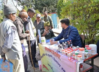 मुख्यमंत्री पुष्कर सिंह धामी के नेतृत्व में जनकल्याणकारी अभियानों को मिल रही नई गति