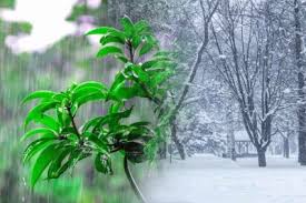 उत्तर भारत में बदलेगा मौसम का मिजाज