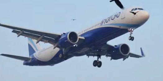 ईरान-इजरायल तनाव के बीच उत्तराखंड सरकार सतर्क, पश्चिम एशिया में रह रहे प्रवासियों का जुटाया जा रहा विवरण