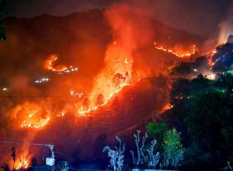 वनाग्नि रोकने की पहल तेज, सरकार ने ग्रामीणों से खरीदा 5532 टन पिरूल; लक्ष्य बढ़ाकर 8555 टन किया