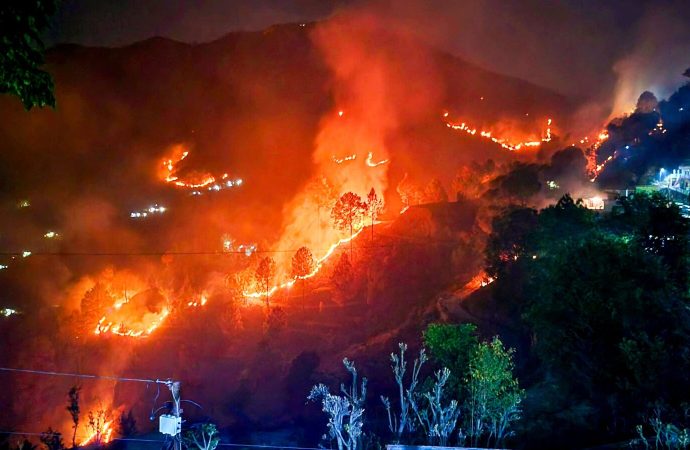 वनाग्नि रोकने की पहल तेज, सरकार ने ग्रामीणों से खरीदा 5532 टन पिरूल; लक्ष्य बढ़ाकर 8555 टन किया