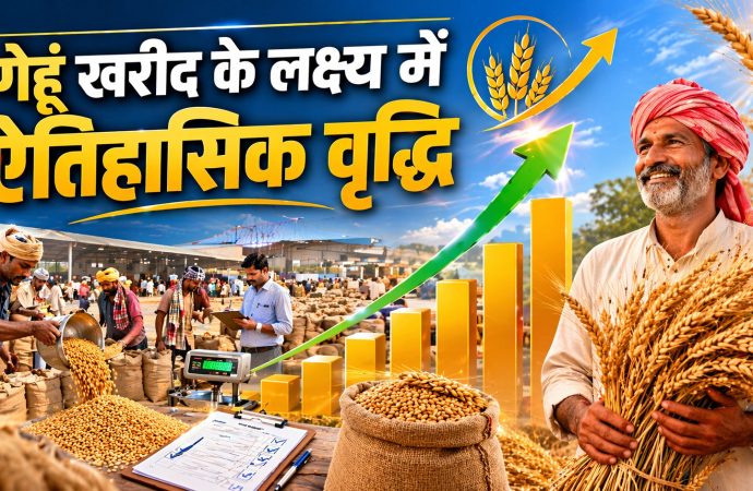 गेहूं खरीद के लक्ष्य में ऐतिहासिक वृद्धि