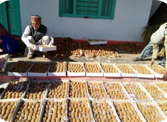 रिवर्स माइग्रेशन और आधुनिक कृषि से बदल रही उत्तराखंड के सुदूर जनपद बागेश्वर की तस्वीर