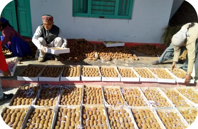 रिवर्स माइग्रेशन और आधुनिक कृषि से बदल रही उत्तराखंड के सुदूर जनपद बागेश्वर की तस्वीर