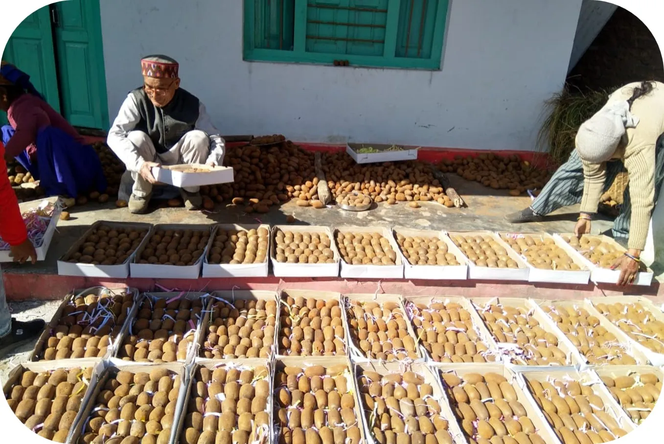 रिवर्स माइग्रेशन और आधुनिक कृषि से बदल रही उत्तराखंड के सुदूर जनपद बागेश्वर की तस्वीर