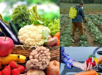 फल सब्जियों में कीटनाशकों के अंधाधुंध इस्तेमाल पर सरकार सख्त