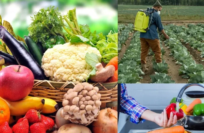 फल सब्जियों में कीटनाशकों के अंधाधुंध इस्तेमाल पर सरकार सख्त