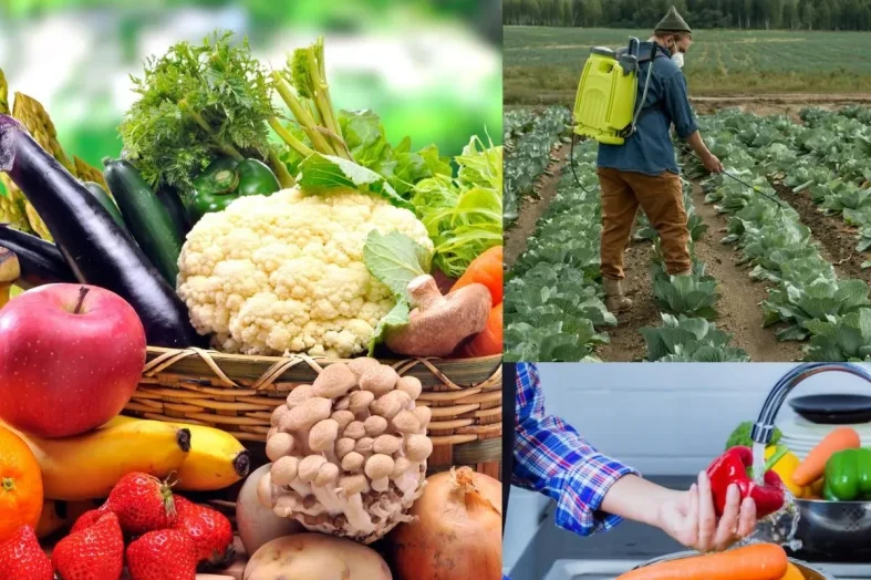 फल सब्जियों में कीटनाशकों के अंधाधुंध इस्तेमाल पर सरकार सख्त