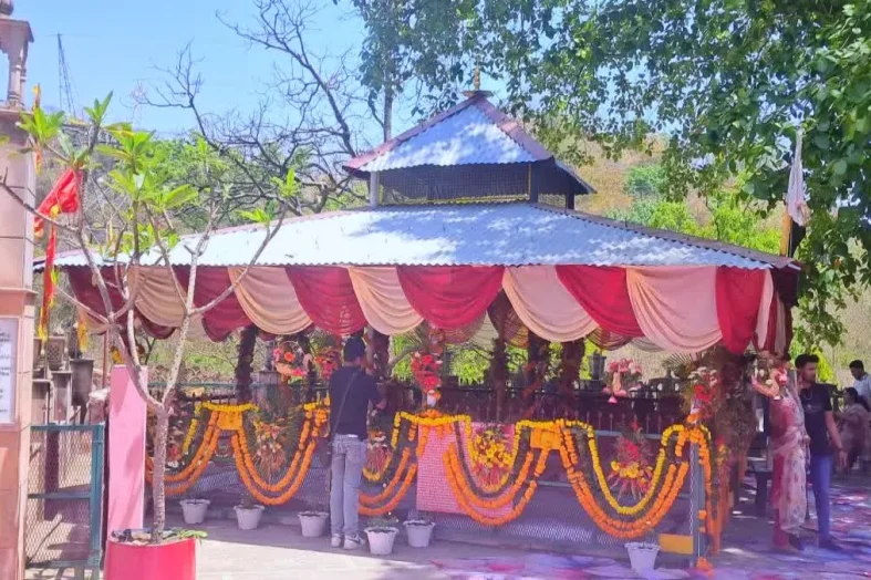 राजाजी टाइगर रिजर्व में शादी विवाद: जांच में एक्शन, दो फॉरेस्ट गार्ड सस्पेंड, रेंजर-वन दरोगा हटाए गए