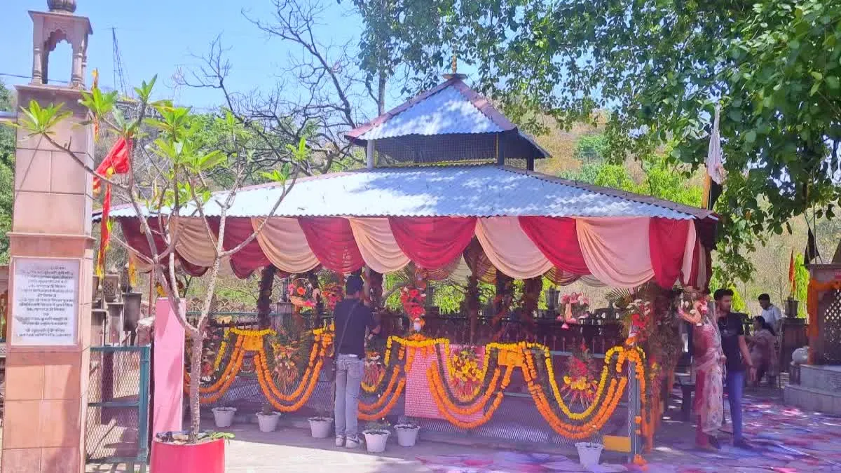 राजाजी टाइगर रिजर्व में शादी विवाद: जांच में एक्शन, दो फॉरेस्ट गार्ड सस्पेंड, रेंजर-वन दरोगा हटाए गए