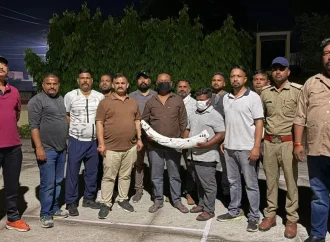 देहरादून: STF की बड़ी कार्रवाई, 1.5 करोड़ का हाथी दांत बरामद, 2 तस्कर गिरफ्तार