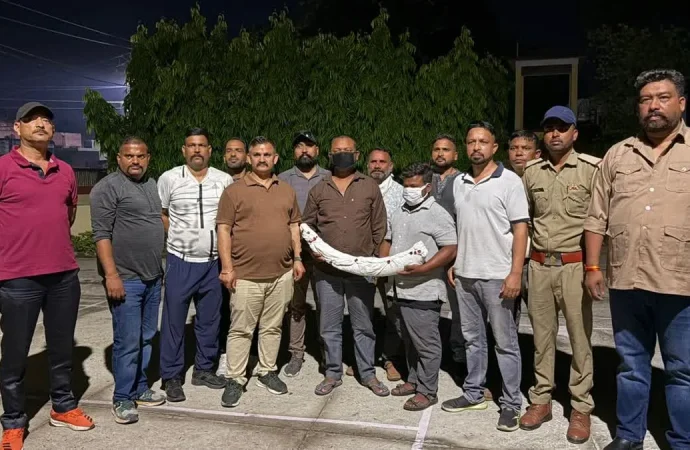 देहरादून: STF की बड़ी कार्रवाई, 1.5 करोड़ का हाथी दांत बरामद, 2 तस्कर गिरफ्तार