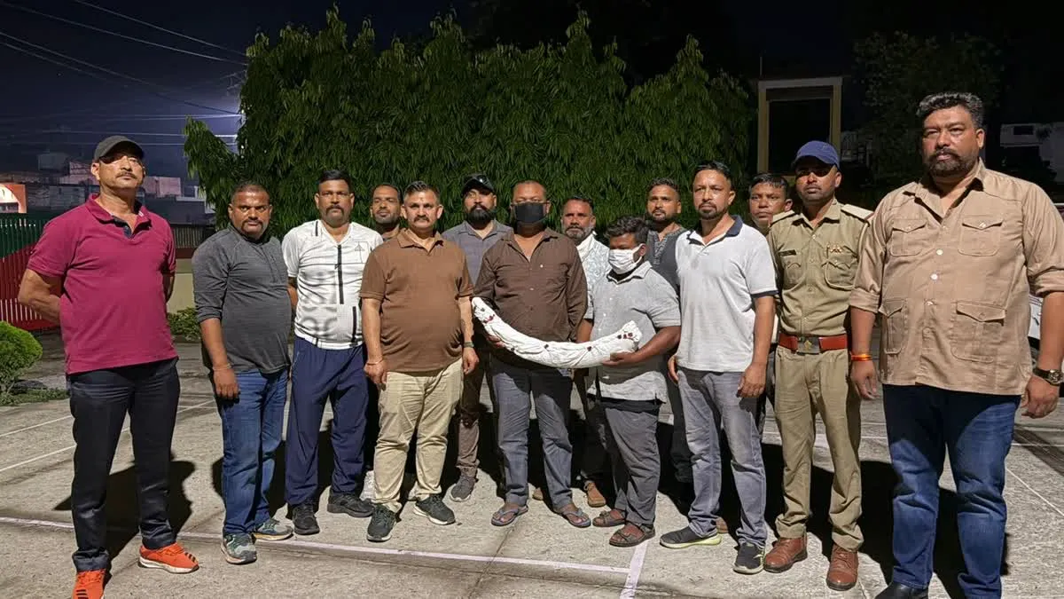 देहरादून: STF की बड़ी कार्रवाई, 1.5 करोड़ का हाथी दांत बरामद, 2 तस्कर गिरफ्तार
