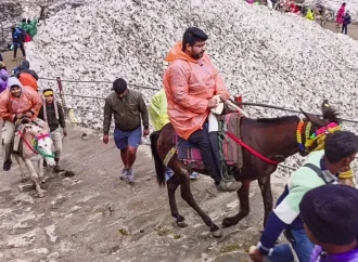 चारधाम यात्रा 2026: बिना फिटनेस और रजिस्ट्रेशन नहीं चलेंगे घोड़े-खच्चर, सरकार ने कसी कमर