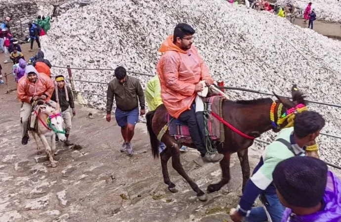 चारधाम यात्रा 2026: बिना फिटनेस और रजिस्ट्रेशन नहीं चलेंगे घोड़े-खच्चर, सरकार ने कसी कमर