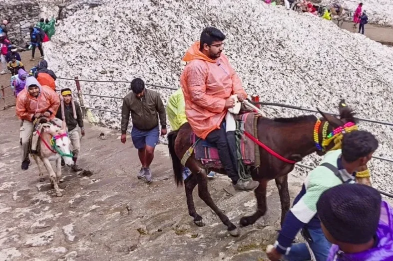 चारधाम यात्रा 2026: बिना फिटनेस और रजिस्ट्रेशन नहीं चलेंगे घोड़े-खच्चर, सरकार ने कसी कमर