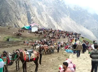 चारधाम और आदि कैलाश यात्रा हेतु अश्ववंशीय पशुओं के लिए नई गाइडलाइन जारी