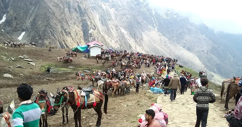 चारधाम और आदि कैलाश यात्रा हेतु अश्ववंशीय पशुओं के लिए नई गाइडलाइन जारी
