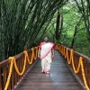 Blog Template