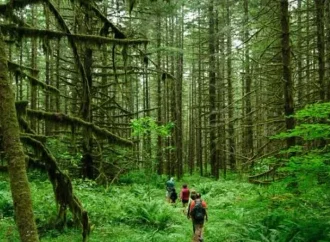 उत्तराखंड में इको टूरिज्म को मिली नई उड़ान, पर्यटकों की बढ़ती संख्या ने बनाए नए रिकॉर्ड